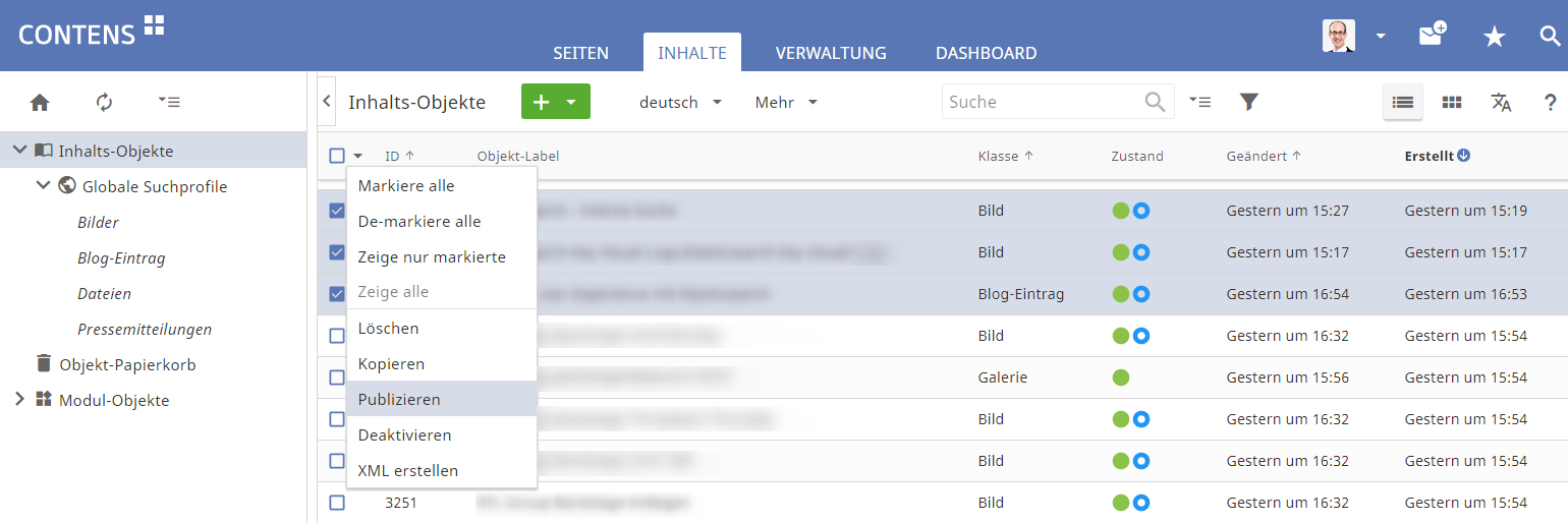 Massenaktion Publizieren und Deaktivieren in der Objektbibliothek